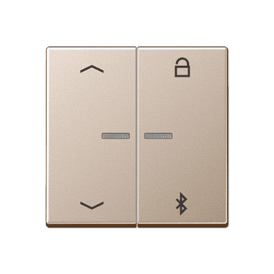 JUNG Таймер универсальный Bluetooth «стрелки», шампань A1751PBTCH