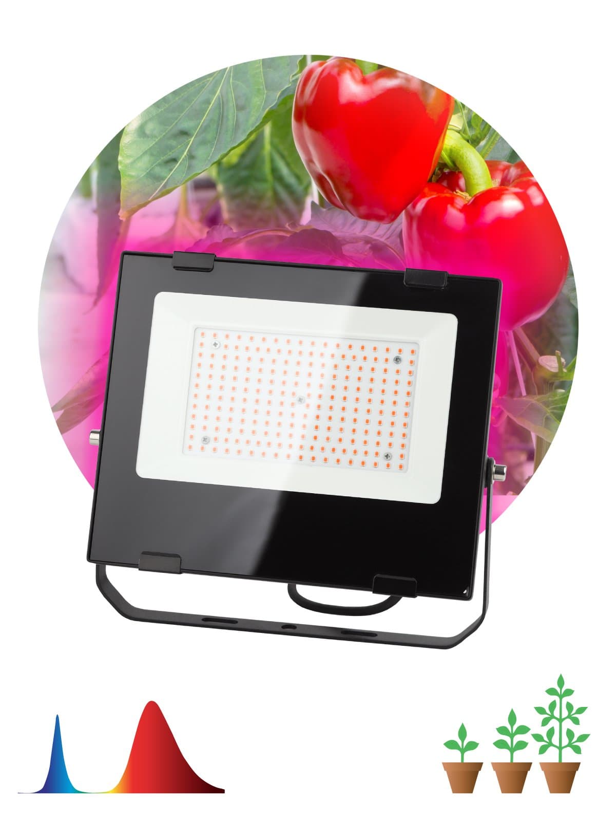 ЭРА FITO-100W-RB-LED Прожектор красно-синего спектра