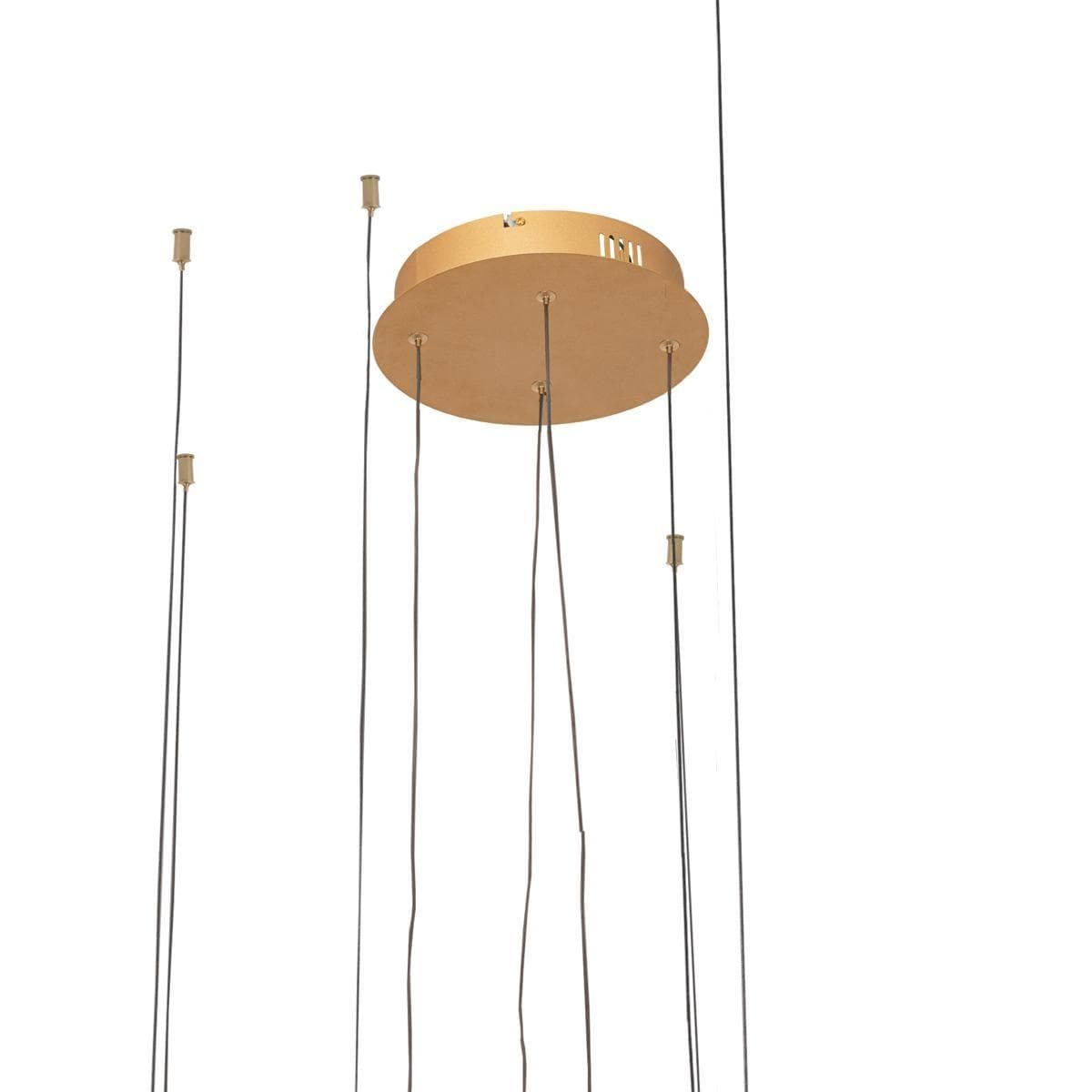 LOFT IT 10017/4L Светильник подвесной Ring, шт — миниатюра 2