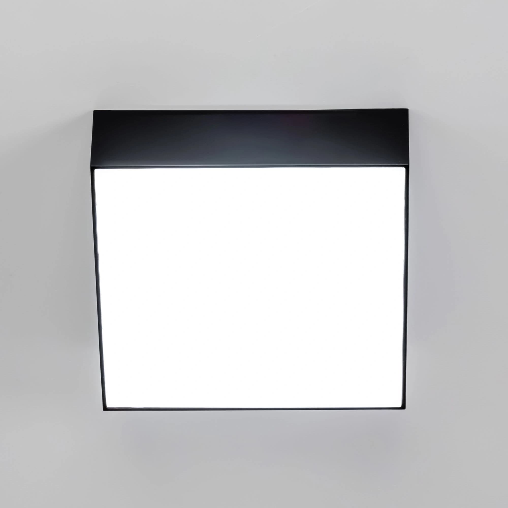 Citilux CL712X122N Тао Черный Светильник Накл. LED 12W*4000K — миниатюра 13