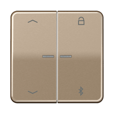 JUNG Таймер универсальный Bluetooth «стрелки», золотая бронза CD1751PBTGB