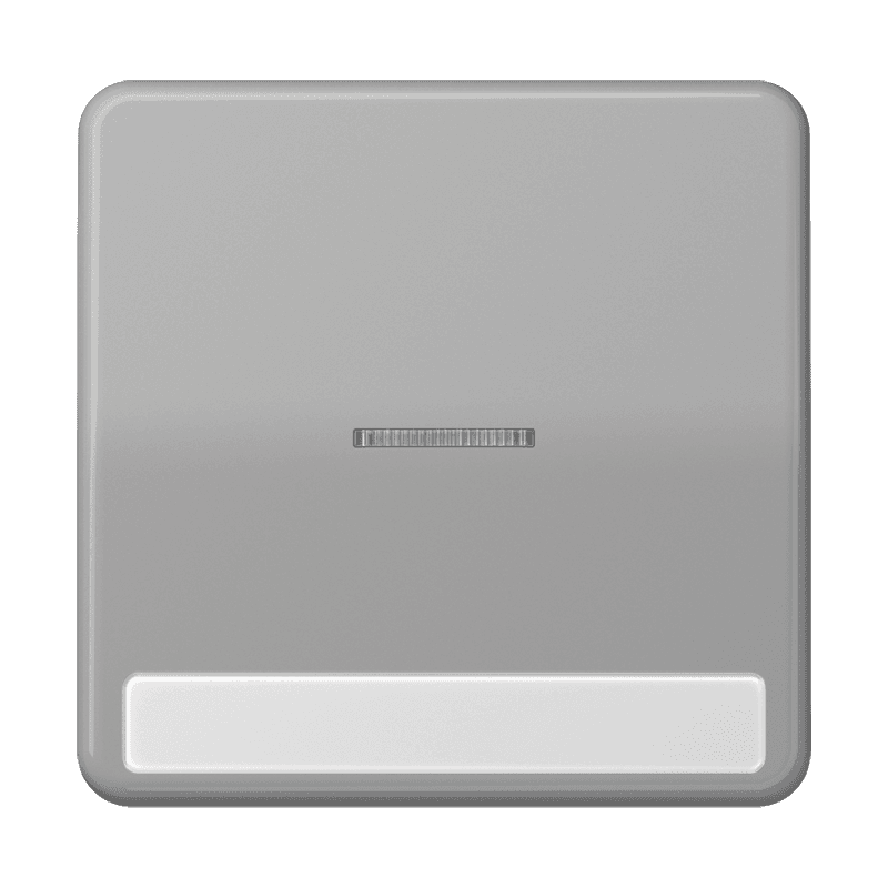 JUNG CD 500/CD plus Серая Клавиша 1-ая с/п с полем для надписи CD590NAKO5GR