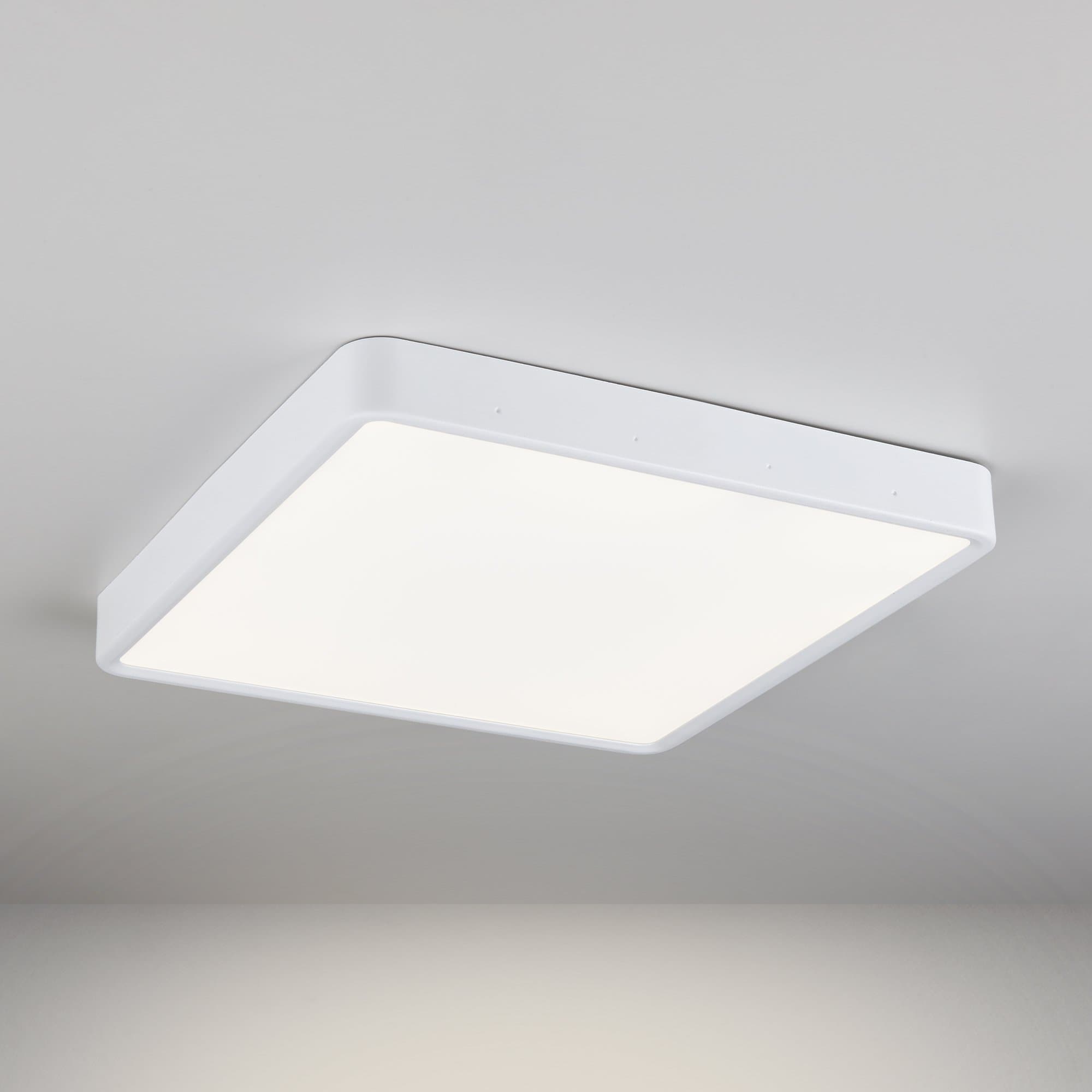 Elektrostandard DLS034 24W 4200K/ Светильник светодиодный стационарный a043018
