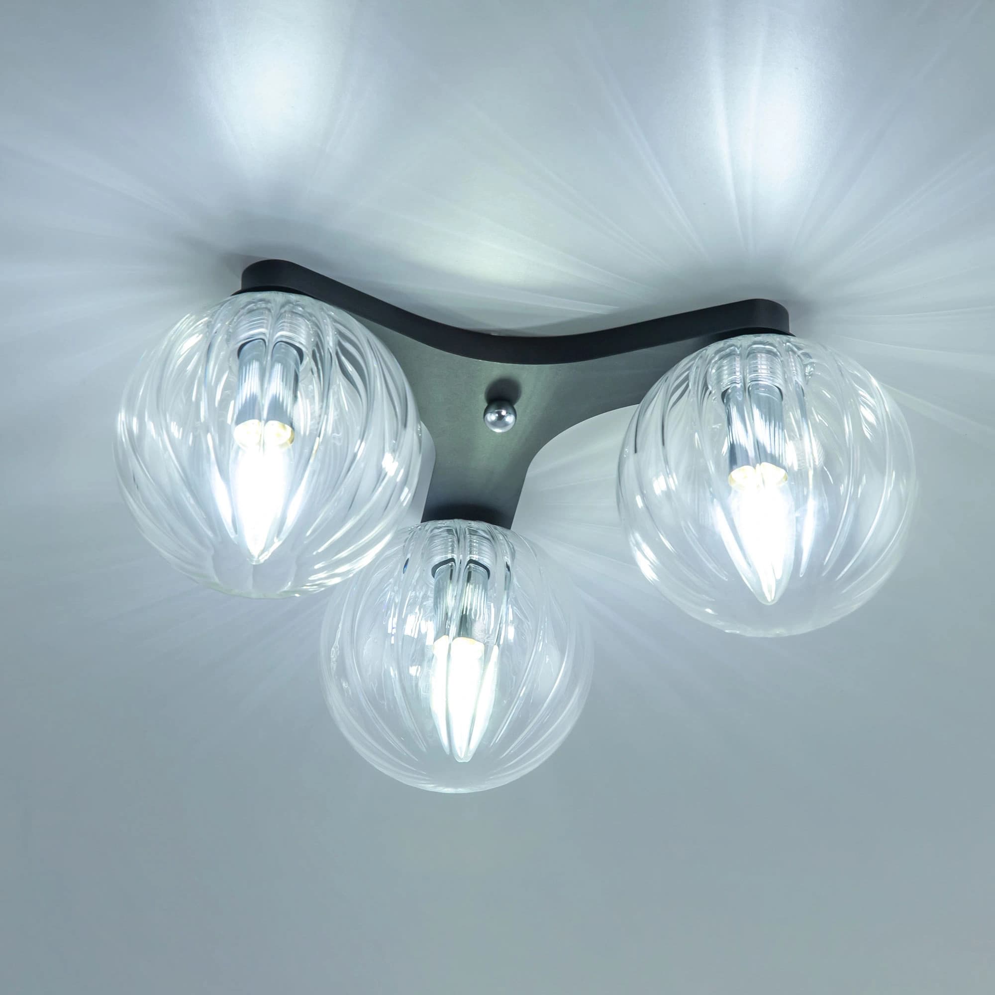 Citilux CL116131 Коптер Черный Светильник Люстра — миниатюра 3