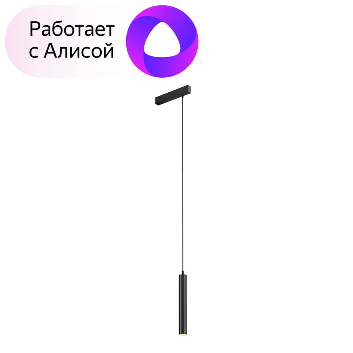 Denkirs DK8008-BK Подвесной светильник SMART HANG 9W DIM 2700K-6000K черный