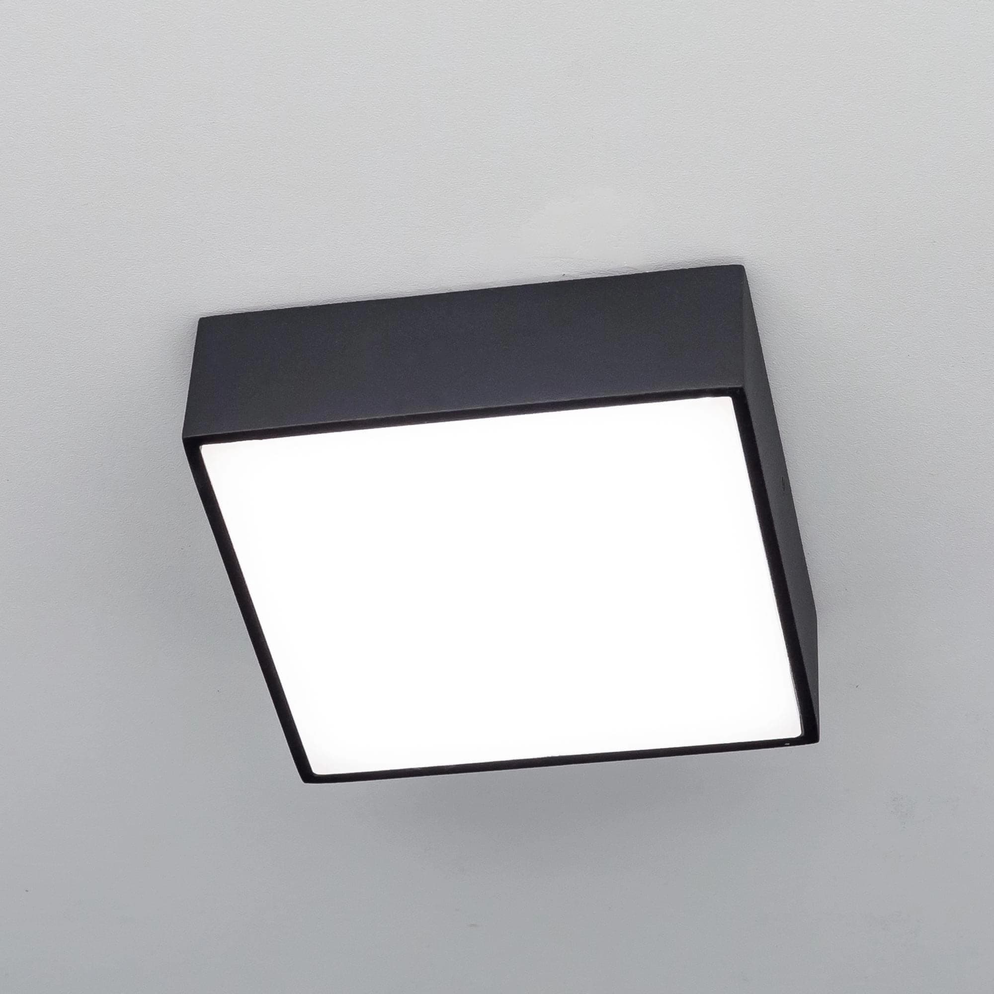Citilux CL712K122 Тао Черный Светильник Накл. LED 12W*3000K — миниатюра 2