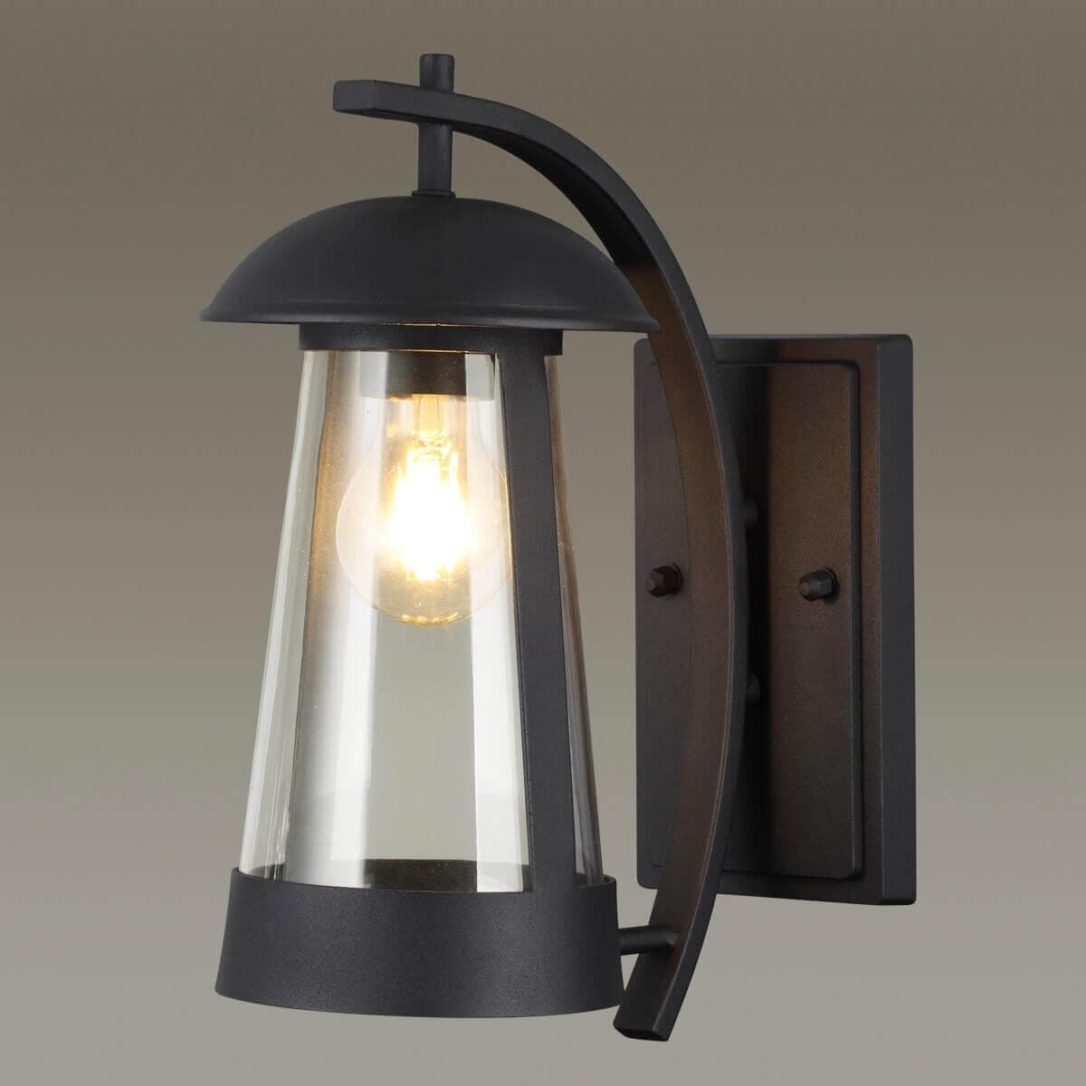 Odeon Light 4837/1W NATURE ODL21 569 черный/стекло Ландшафтный настенный светильник E27 1*60W IP44 KALPI — миниатюра 3