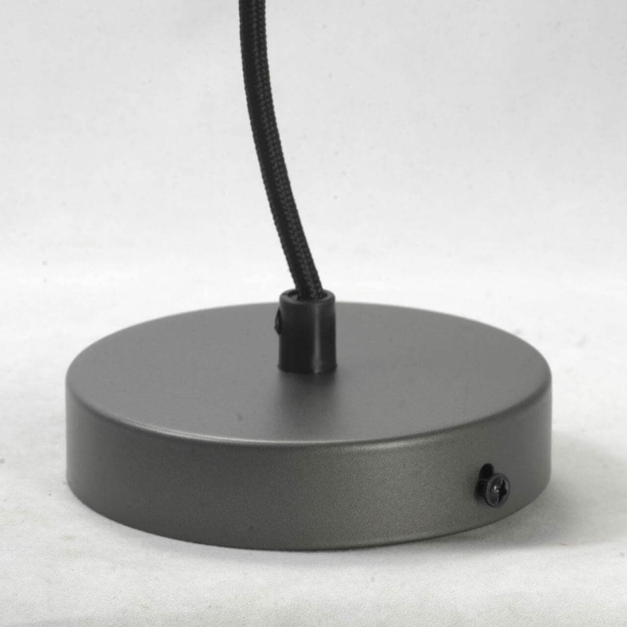 Lussole LOFT Металл Серый /  Металл Подвес E27 60W LSP-9814 — миниатюра 2