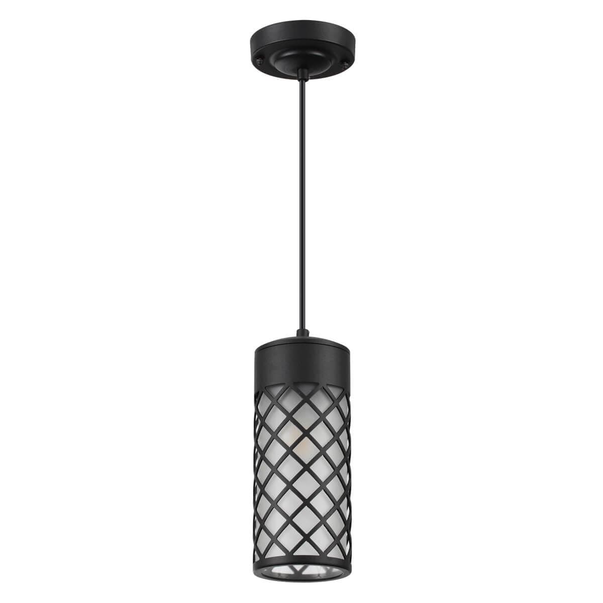 Odeon Light 4834/1 NATURE ODL21 567 черный/стекло Ландшафтный светильник-подвес E27 1*60W IP44 DUNES — миниатюра 2