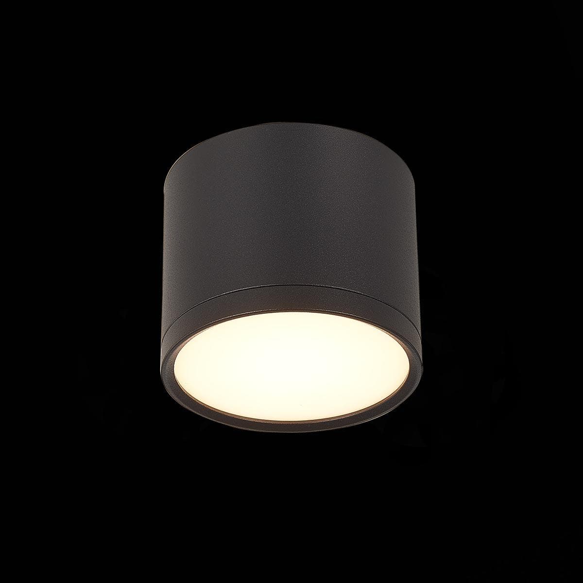 ST Luce ST113.432.09 Светильник потолочный Черный LED 1*9W 3000K 702Lm Ra>80 120° IP20 D88xH75 170-240V — миниатюра 2