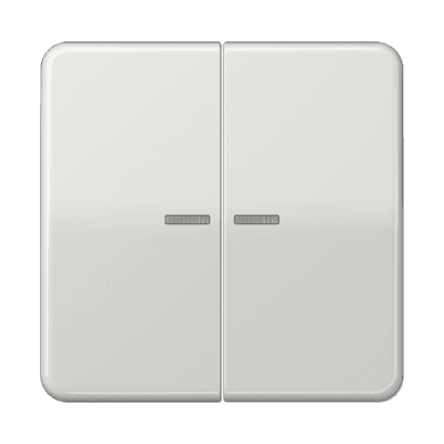 JUNG Клавиша для KNX кнопки, 2 группы с окошком дюропласт светло-серый CD102KO5LG