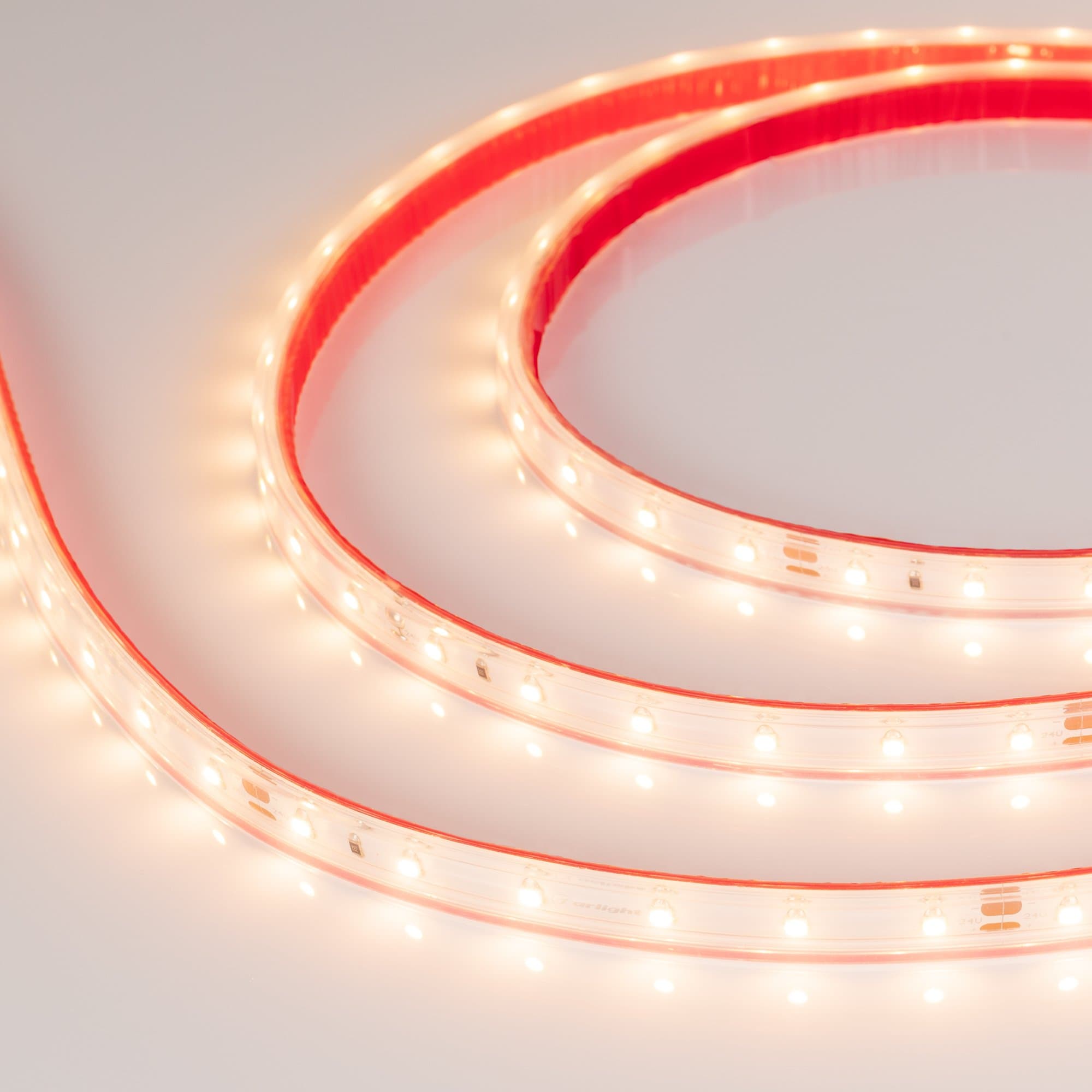 Arlight Светодиодная лента RTW 2-5000PS-50m 24V Warm2700 (3528, 60 LED/m, LUX) (4.8 Вт/м, IP67) 024566 — миниатюра 2