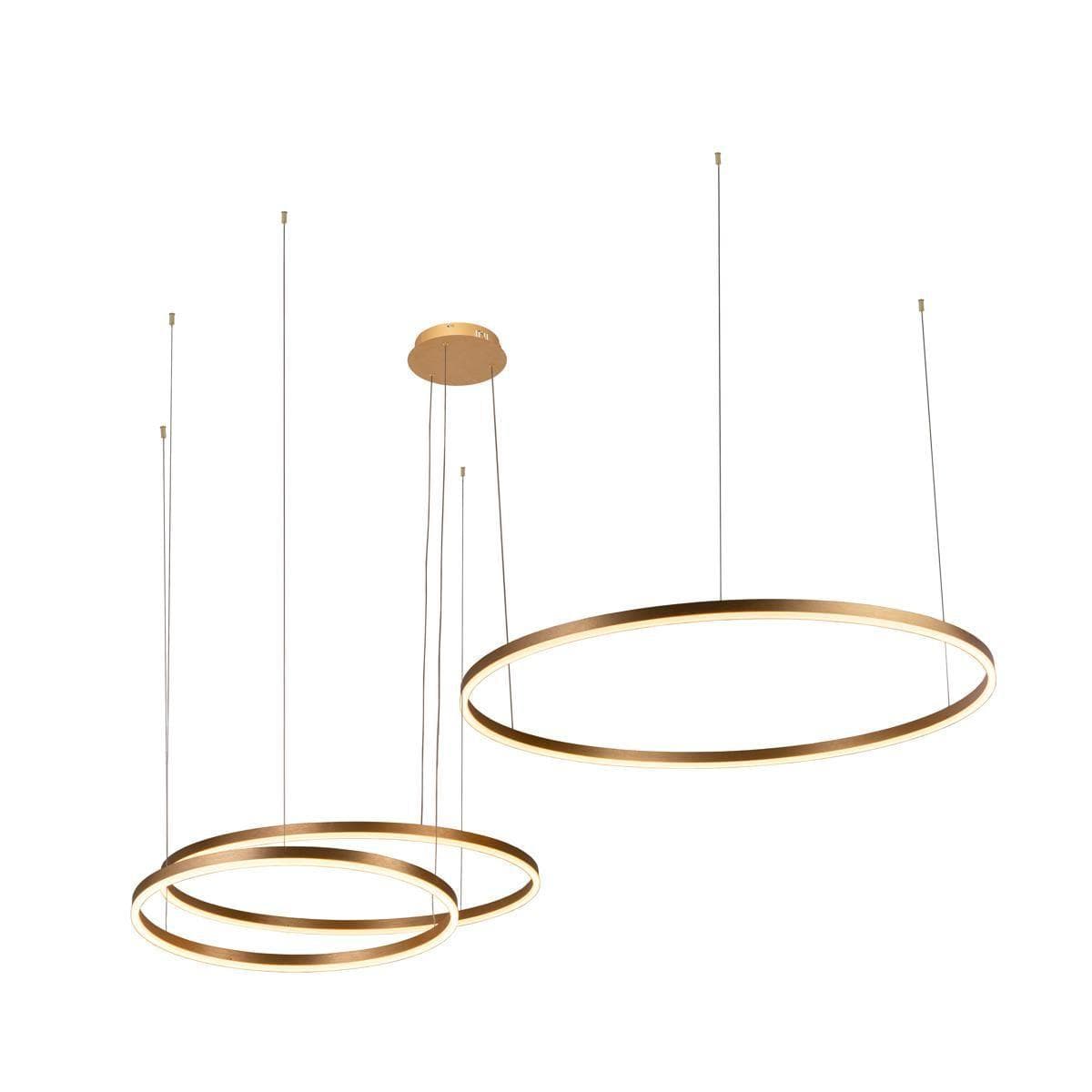 LOFT IT 10017/3M Светильник подвесной Ring, шт — миниатюра 1