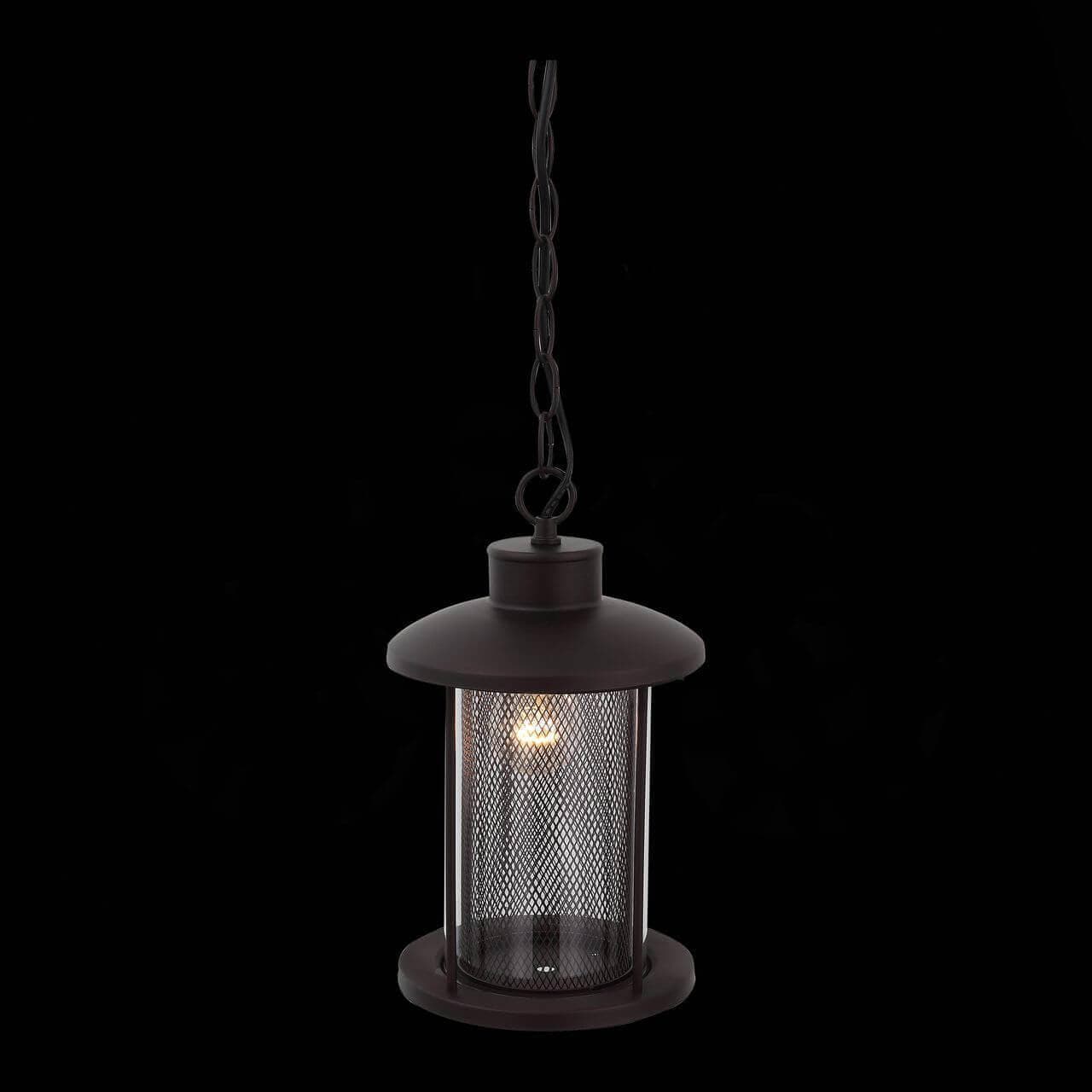 ST LUCE SL080.403.01 Светильник уличный подвесной Темный кофе/Прозрачный, Темный кофе E27 1*60W — миниатюра 3
