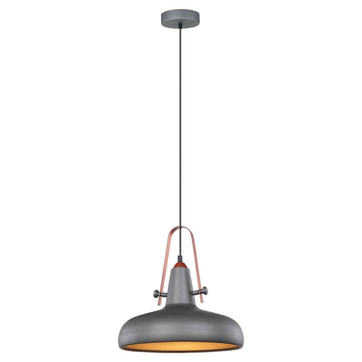 Lussole LOFT Металл Серый /  Металл Подвес E27 60W LSP-9814 — миниатюра 1