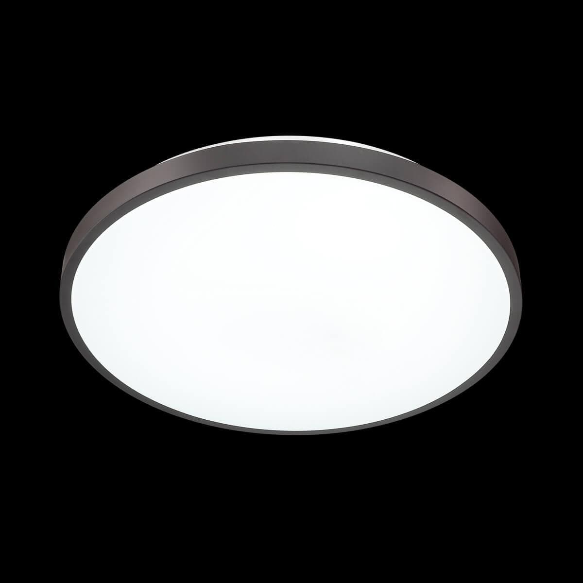 Sonex 3012/DL SN 035 св-к SMALLI пластик LED 48Вт 3000-6000K D380 IP43 пульт ДУ — миниатюра 2