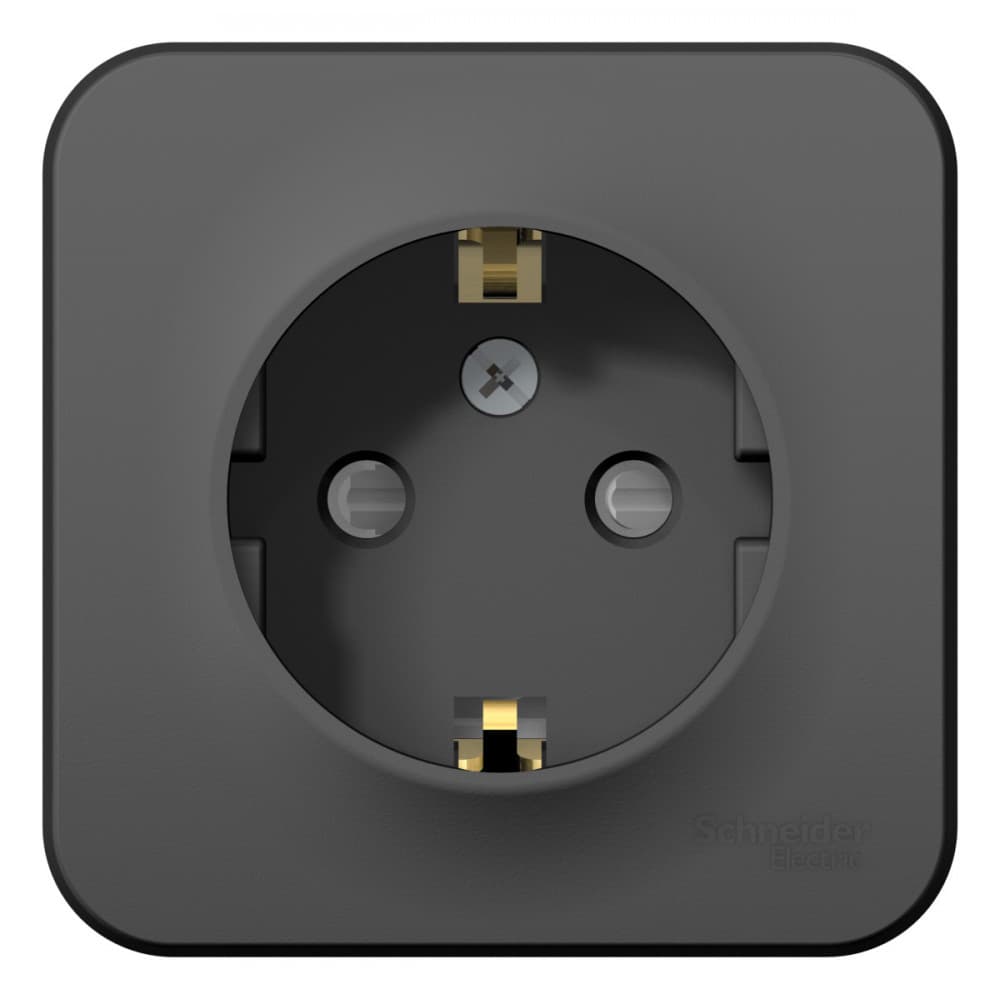 Systeme Electric Blanca наруж Антрацит Розетка с/з со шторками, 16А, 250В
