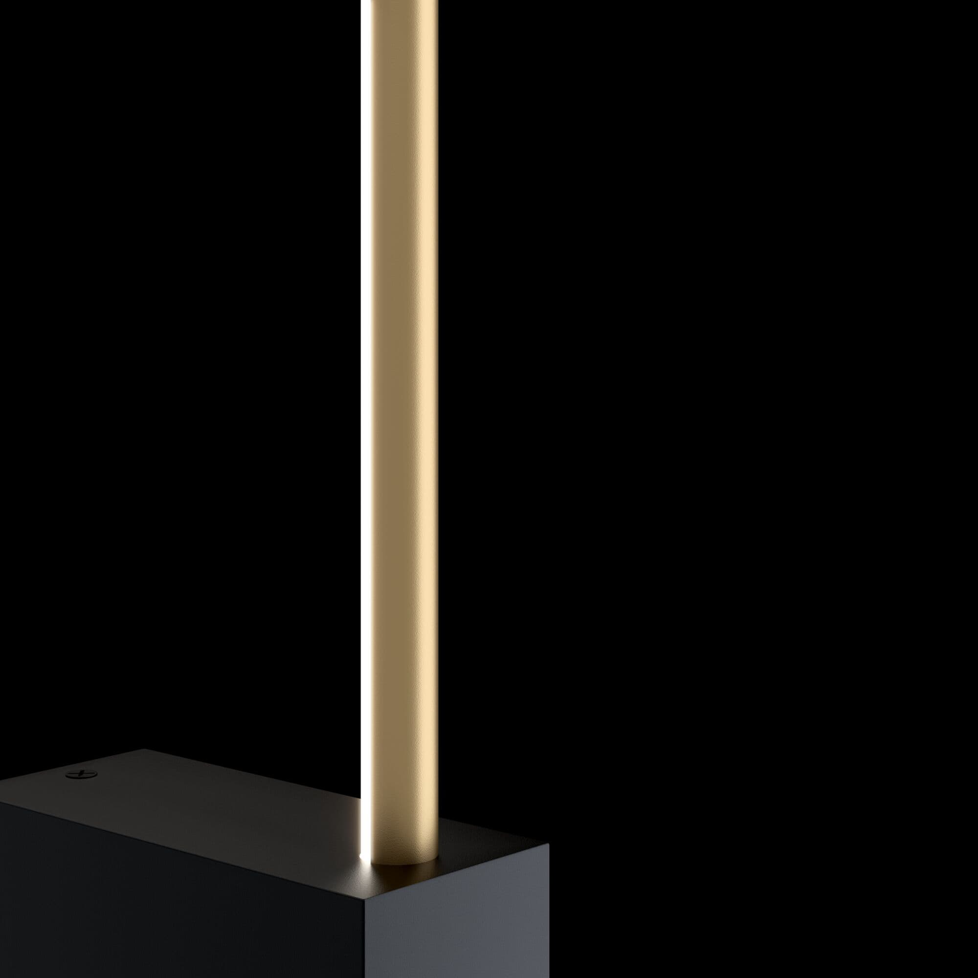 Maytoni Ceiling & Wall Черный с Золотом Бра C071WL-L12GB3K — миниатюра 6