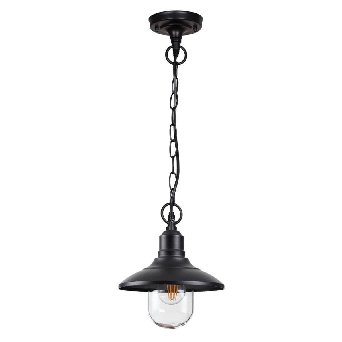 Odeon Light 4965/1 NATURE ODL22 579 черный/стекло Ландшафтный подвес E27 1*60W IP44 CAMPA — миниатюра 1