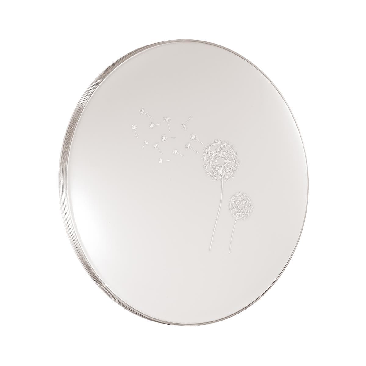 Sonex 3005/EL SN 029 св-к AIRITA пластик LED 72Вт 3000-6000K D495 IP43 пульт ДУ