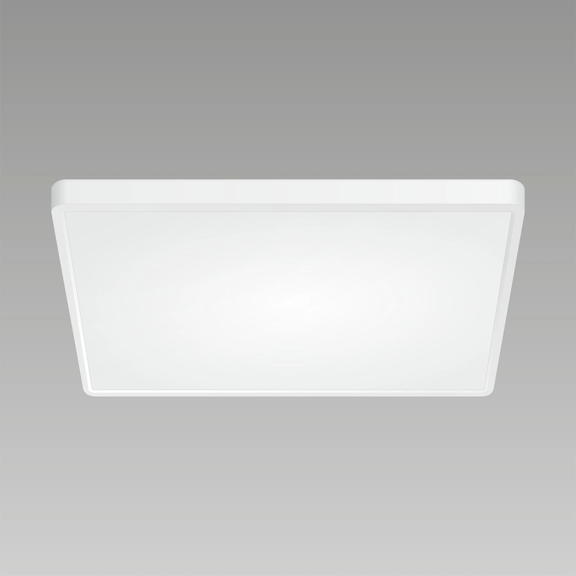 Citilux CL738K500V Светильник Бейсик, белый наклодной LED 50W*Мульти — миниатюра 2