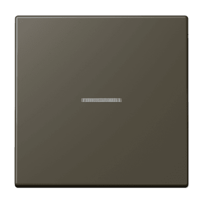 JUNG LS 990 Клавиша 1-ая с/п Ombre naturelle 31(32140) LC990KO532140