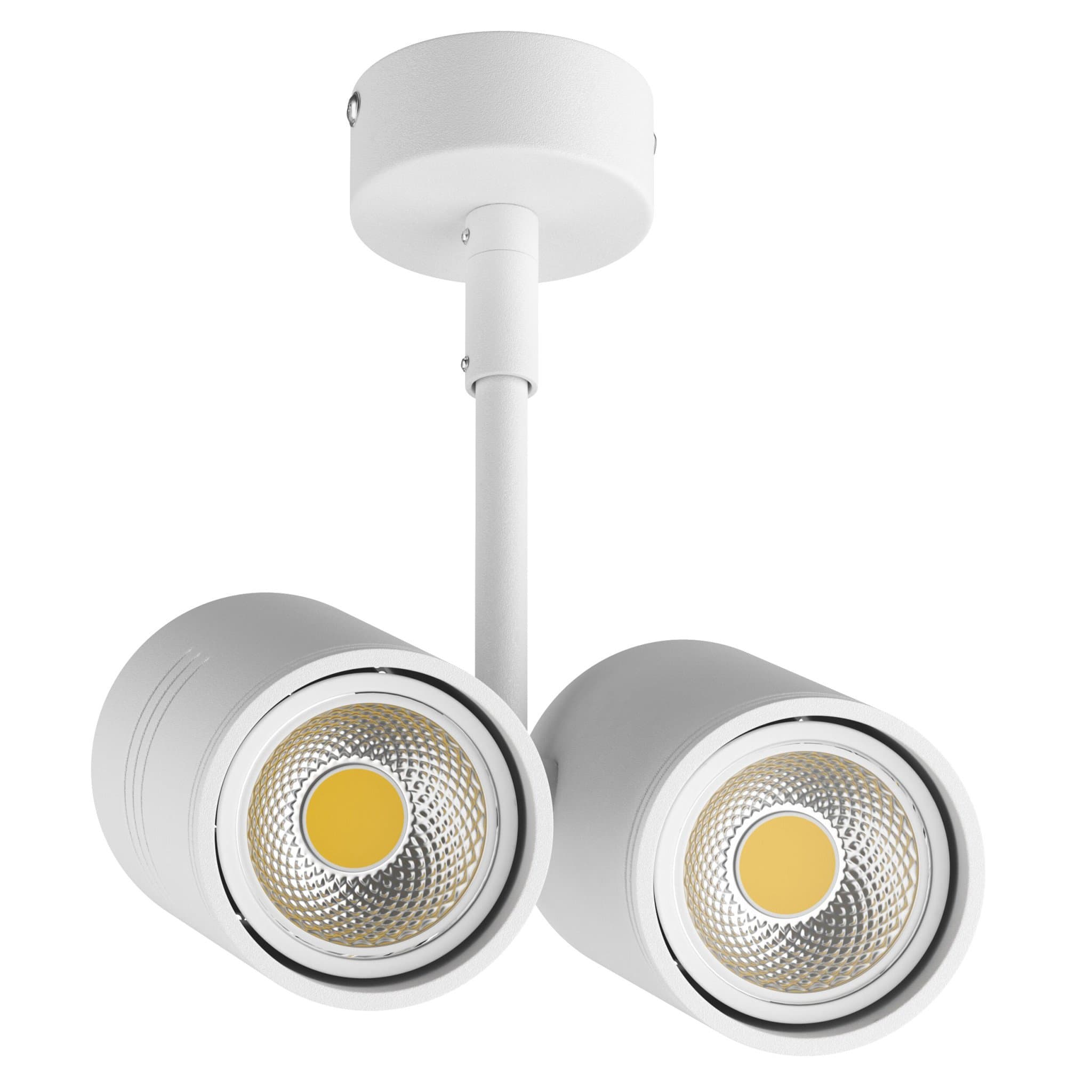 Lightstar Светильник точечный накладной под заменяемые галогенные или LED лампы Rullo Lightstar 214446