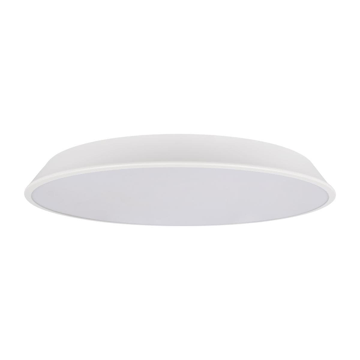 LOFT IT 10226 White Потолочный светильник Brim