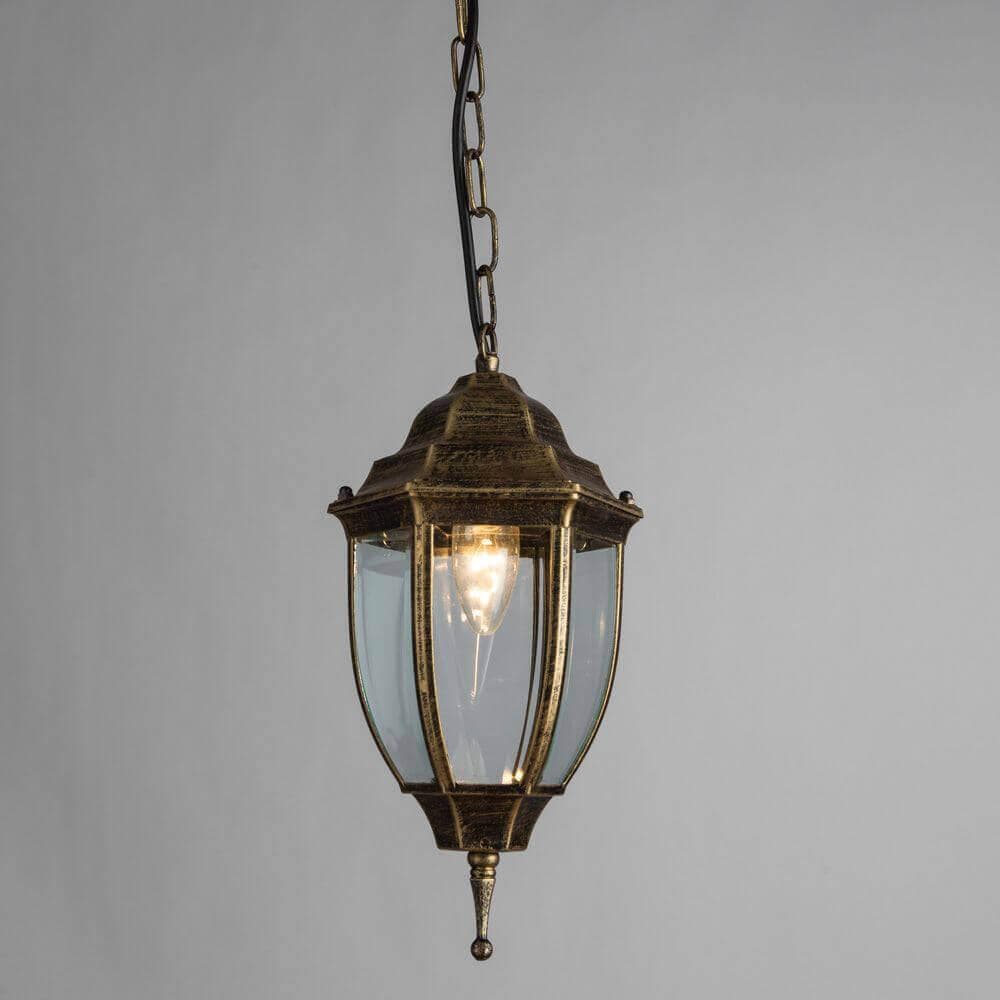 Arte Lamp Pegasus Коричневый/Прозрачный Светильник уличный подвесной 1x60W 1xE27 A3151SO-1BN — миниатюра 3