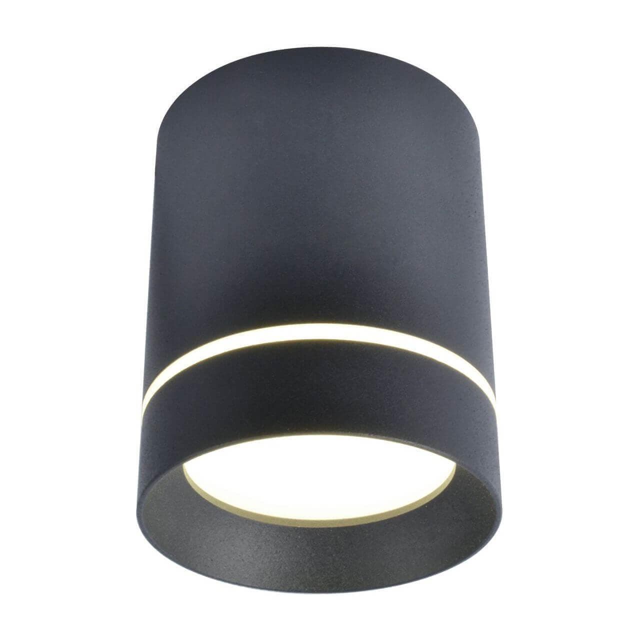 Arte Lamp ELLE Потолочные светильники A1909PL-1BK