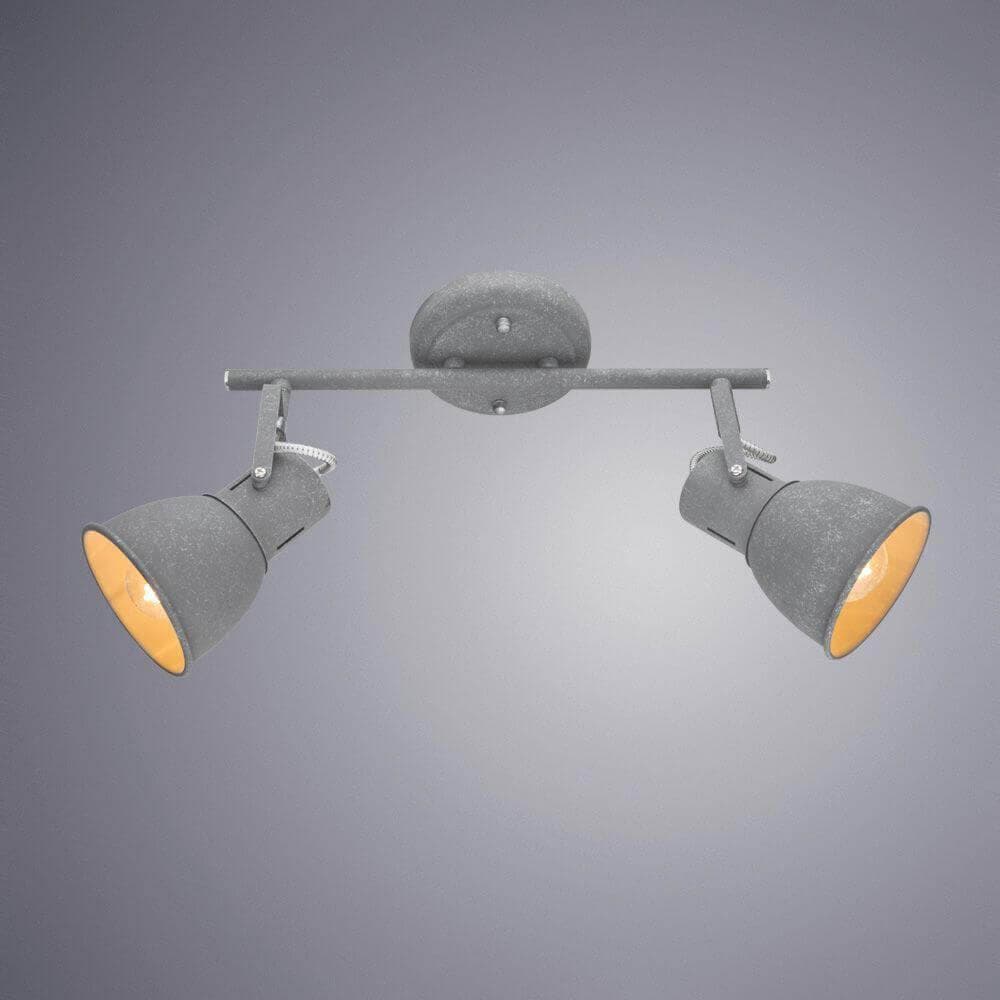 Arte Lamp JOVI Потолочные светильники A1677PL-2GY — миниатюра 2