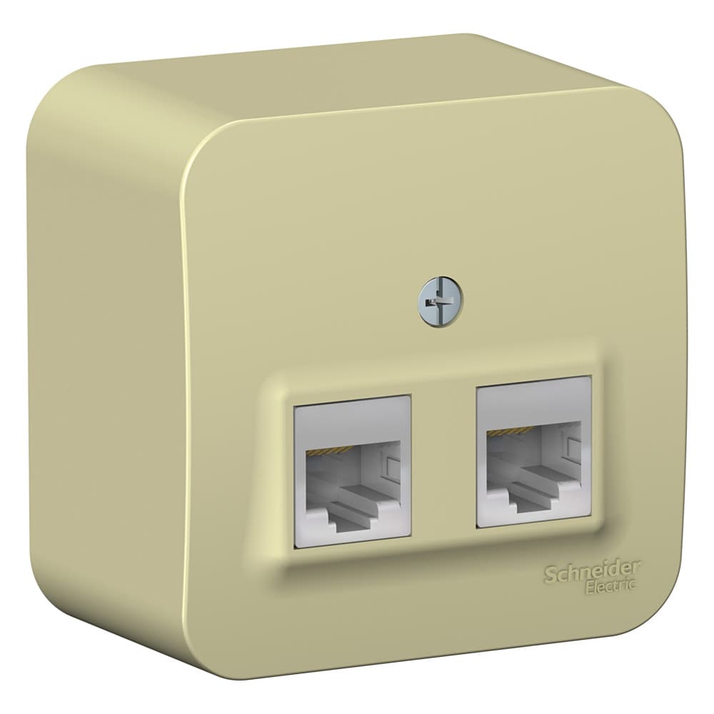 Systeme Electric Blanca наруж Беж Розетка 2-ая компьютерная RJ45, кат.5E, изолир. пластина