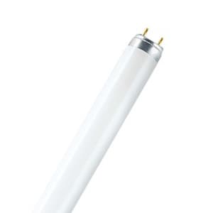 Osram L 36W/77 10X1  CRP RU 4058075402805