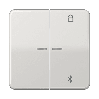 JUNG Таймер универсальный Bluetooth, светло-серый CD1751BTLG