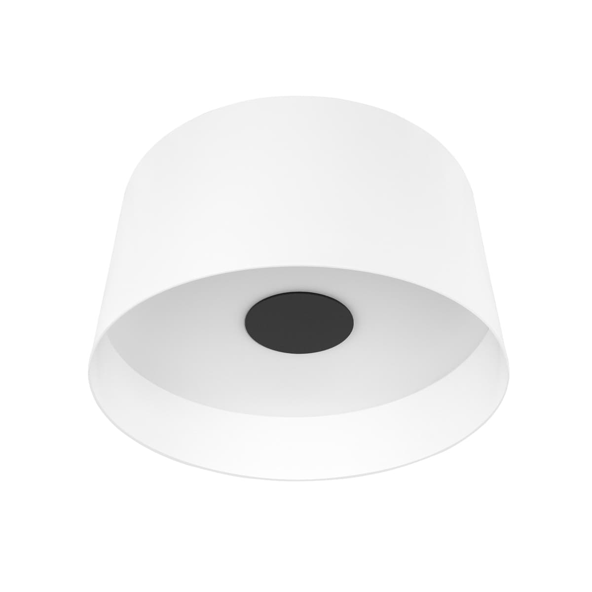 LOFT IT 10360L White Потолочный светильник Duo, шт