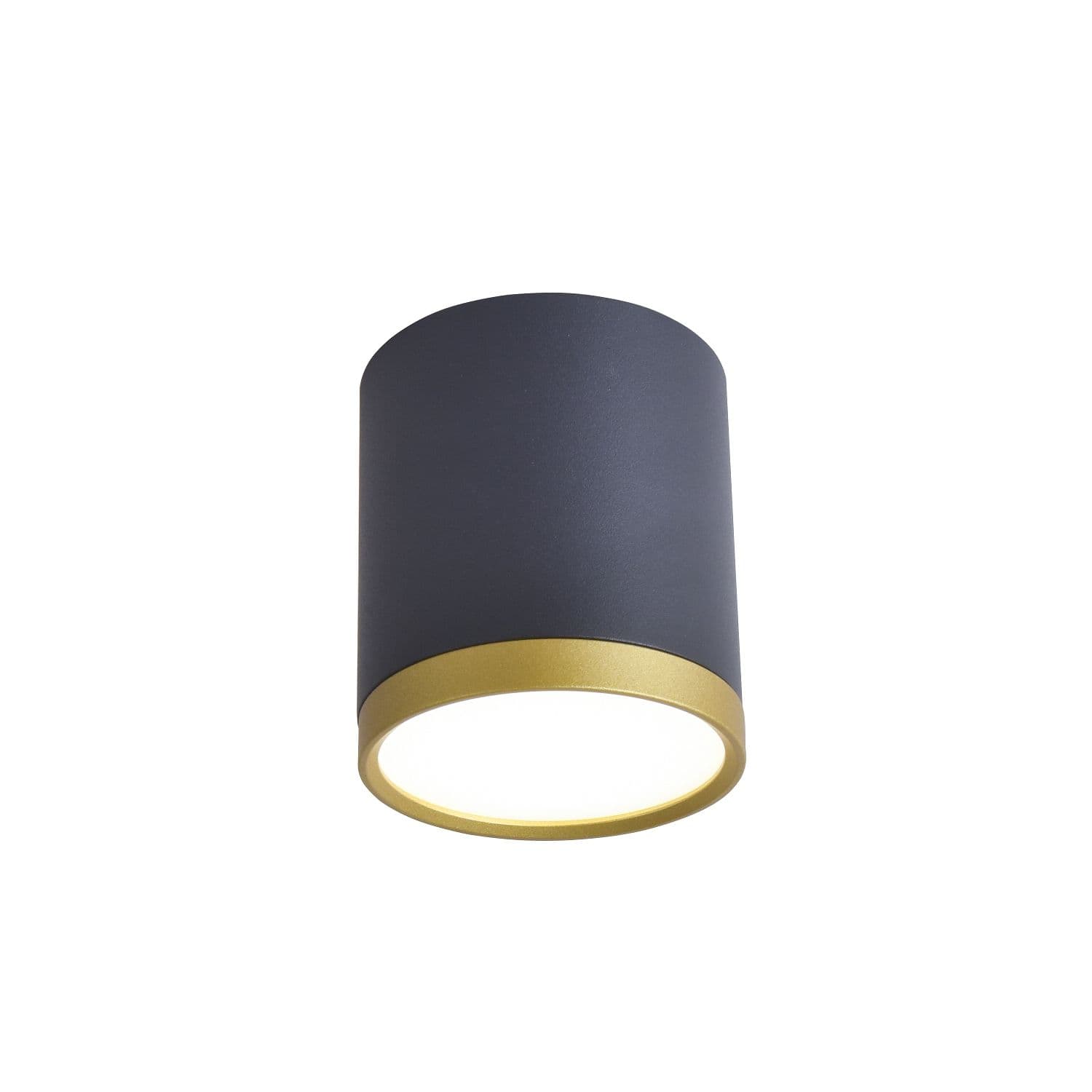 Favourite Потолочный светильник Baral D68*H75 LED*5W, 250LM, 4000K, IP20, included 3081-1C