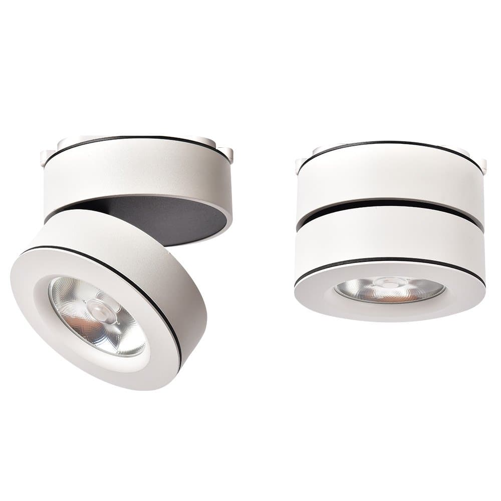 Arte Lamp VELA Потолочные светильники A2508PL-1WH