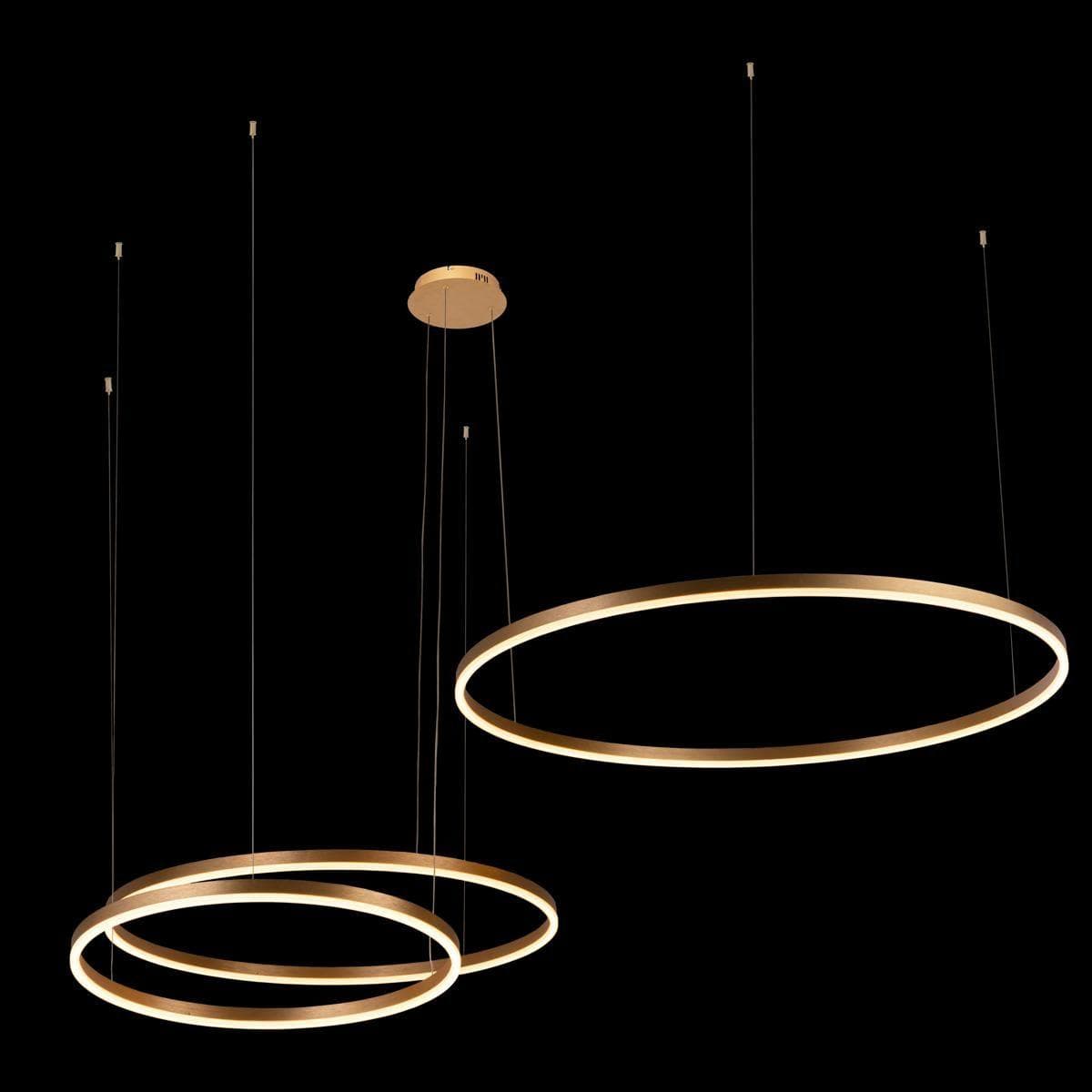 LOFT IT 10017/3L Светильник подвесной Ring, шт — миниатюра 4