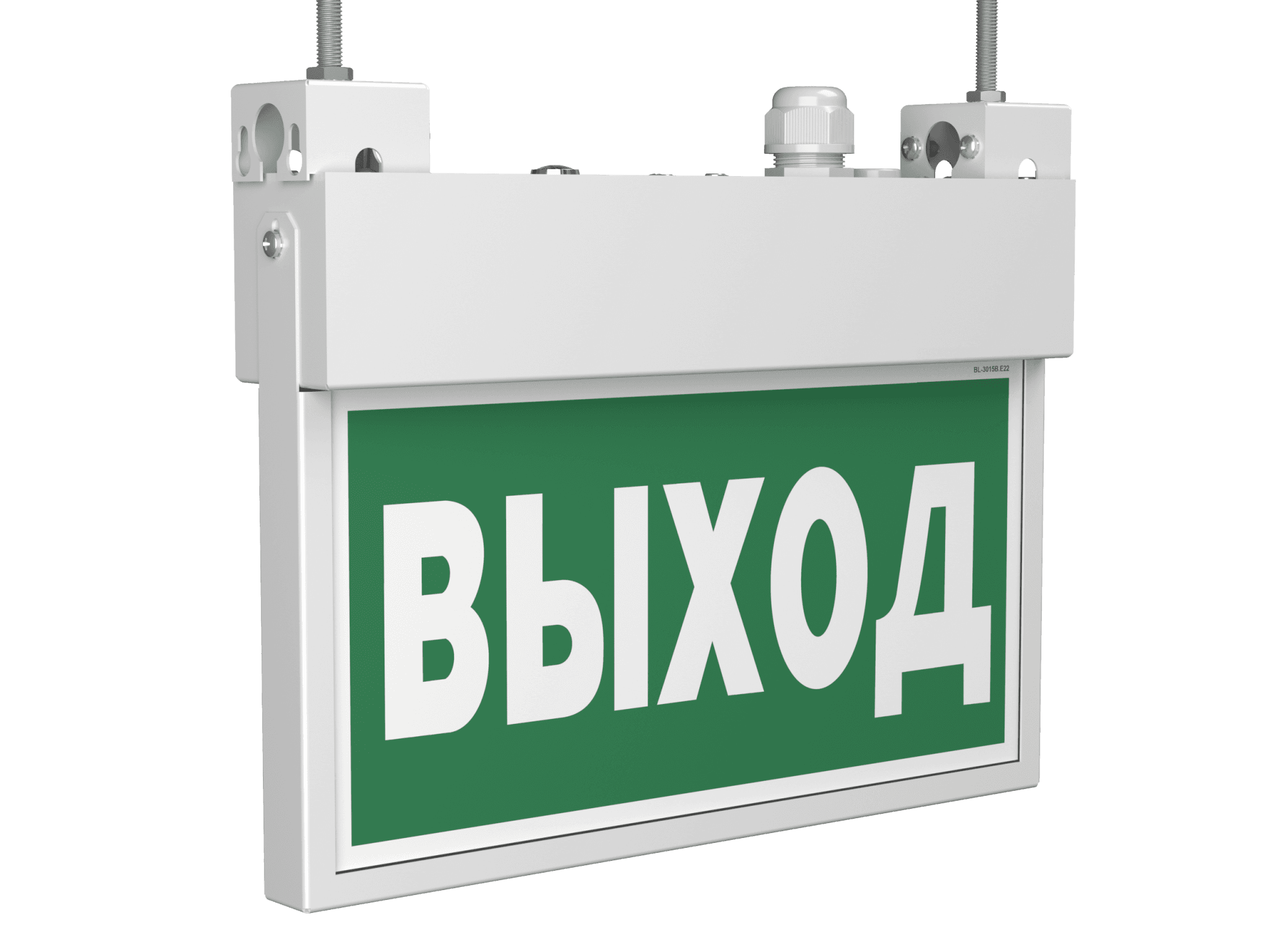 Белый свет Световой указатель BS-FLAG-71-S1-INEXI3-MSS3 a15614 — миниатюра 6