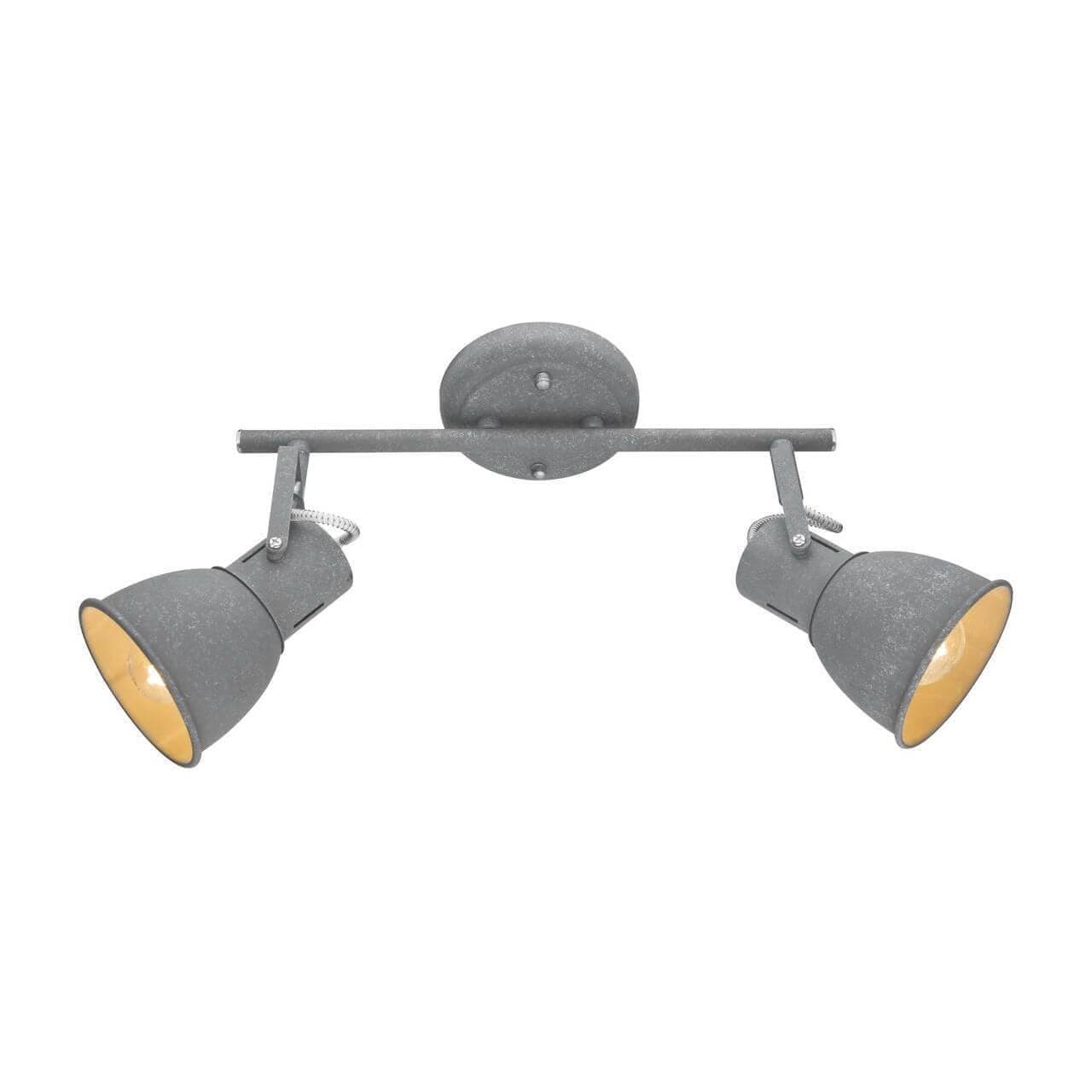 Arte Lamp JOVI Потолочные светильники A1677PL-2GY — миниатюра 1