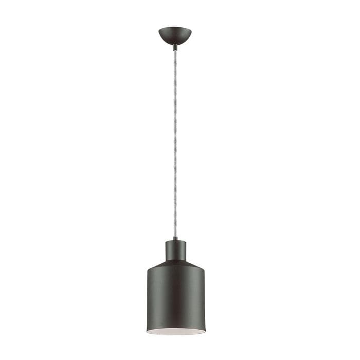 Lumion 3659/1 LN18 269 чёрный Подвес E27 60W 220V RIGBY