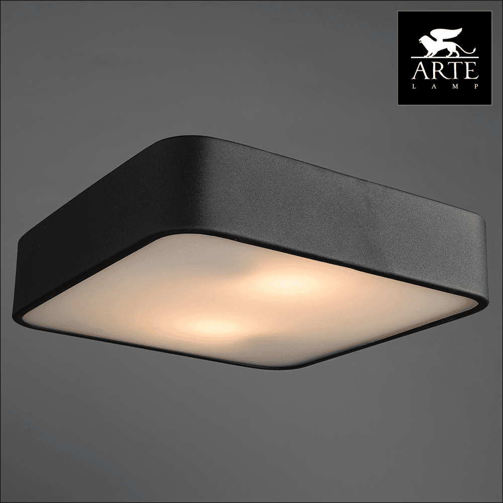Arte Lamp Cosmopolitan Черный/Белый Светильник потолочный 60W E27 A7210PL-2BK — миниатюра 2