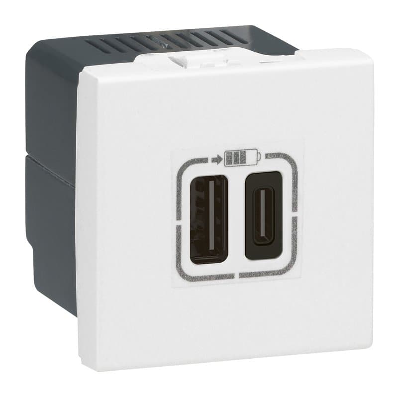 Legrand Mosaic Розетка 2хUSB-C 2M белый 077590