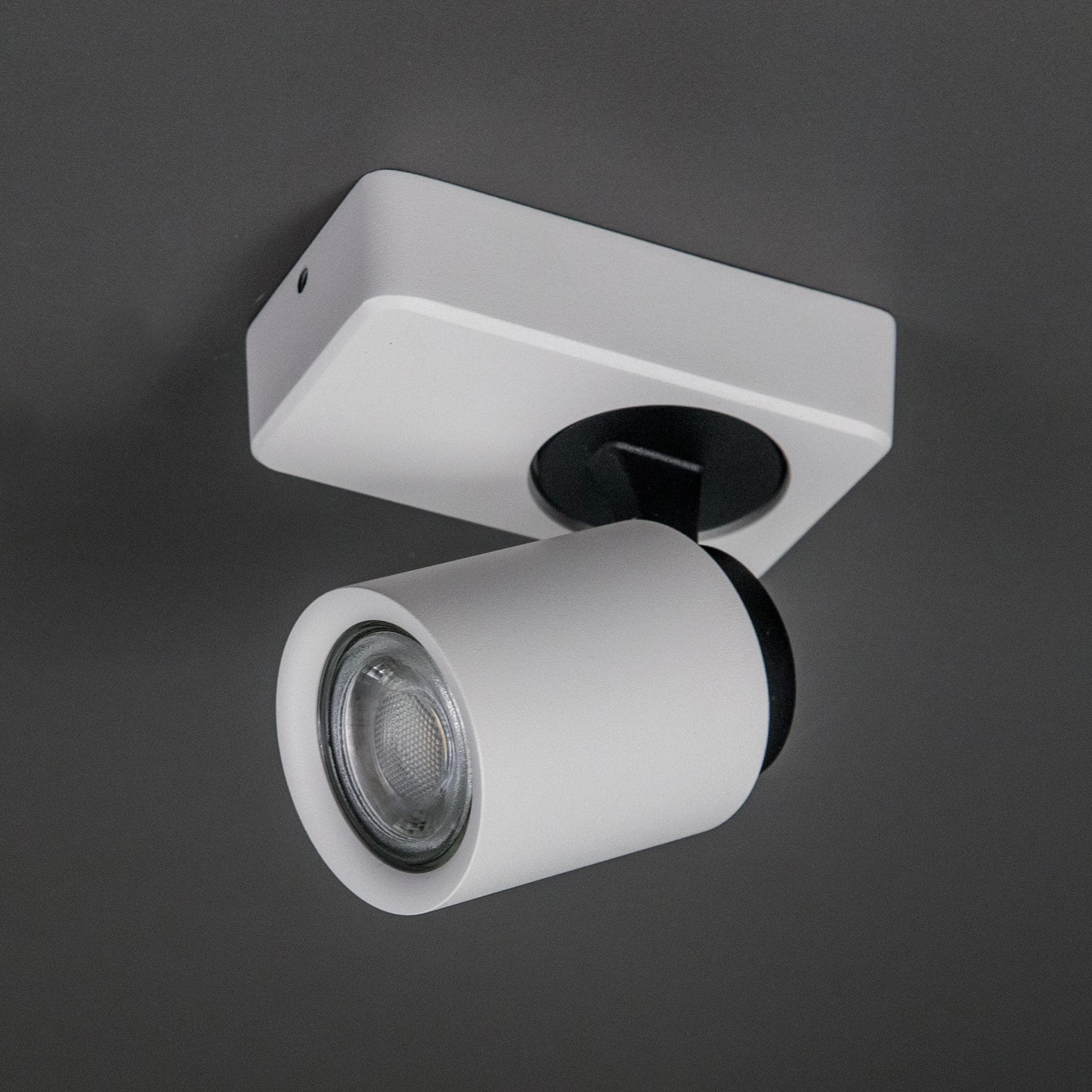 Citilux CL533510 Норман Светильник Наст-потол — миниатюра 2