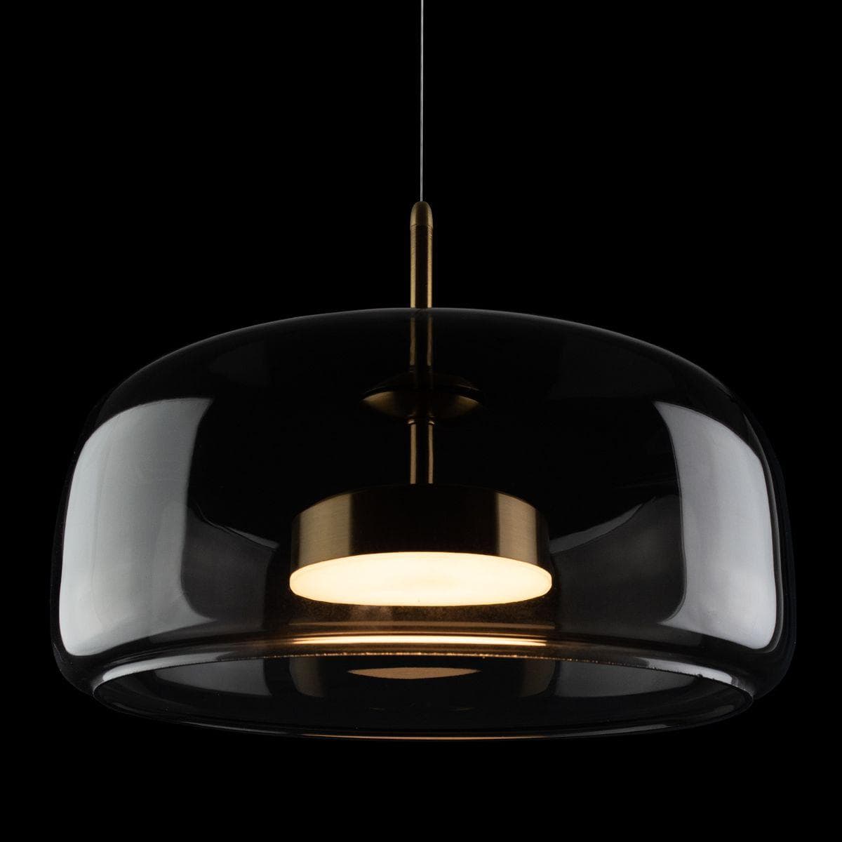 LOFT IT 10041B Светильник подвесной Dauphin, шт — миниатюра 2