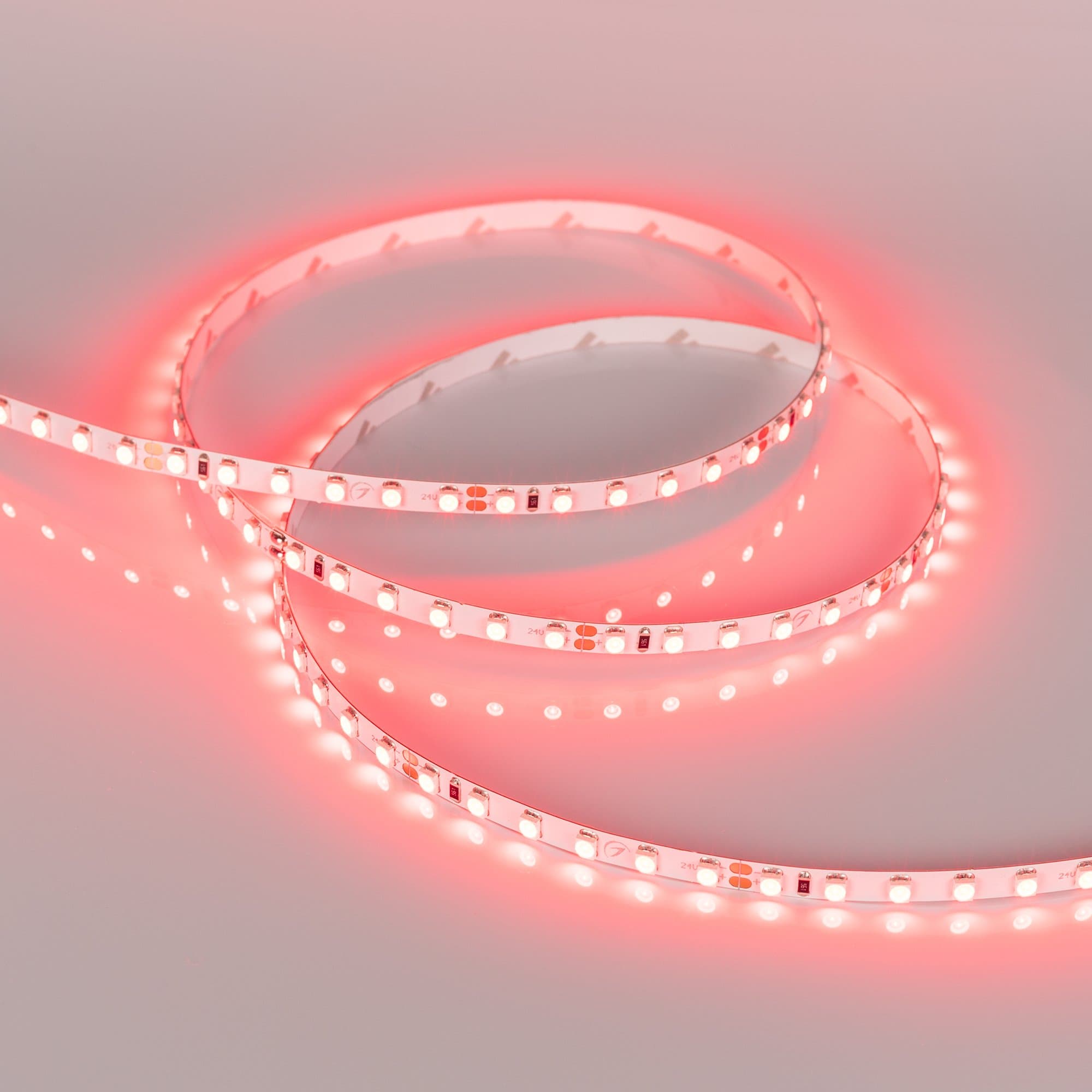Arlight Светодиодная лента RT 2-5000 24V Red 5mm 2x (3528, 600 LED, LUX) (9.6 Вт/м, IP20) 015657(B) — миниатюра 5