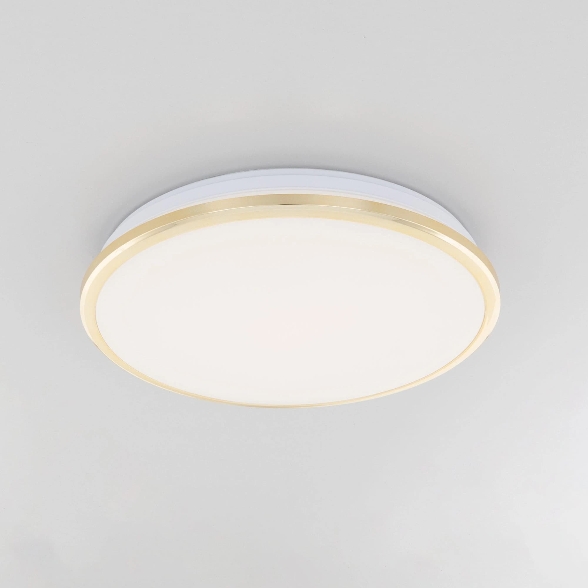 Citilux Потолочный светодиодный светильник Луна CL702222W — миниатюра 4