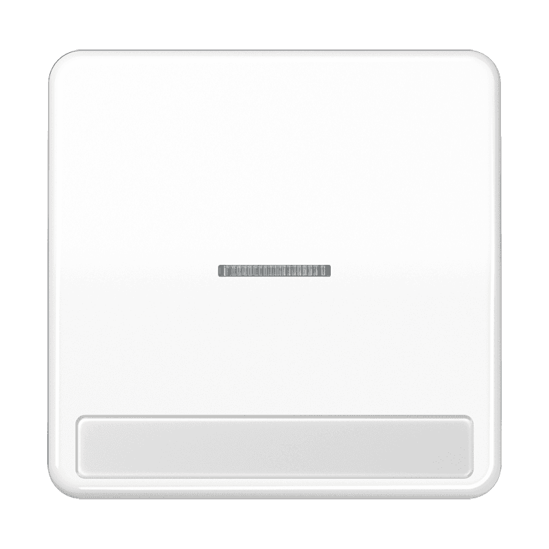 JUNG CD 500/CD plus Белая Клавиша 1-ая с/п с полем для надписи CD590NAKO5WW