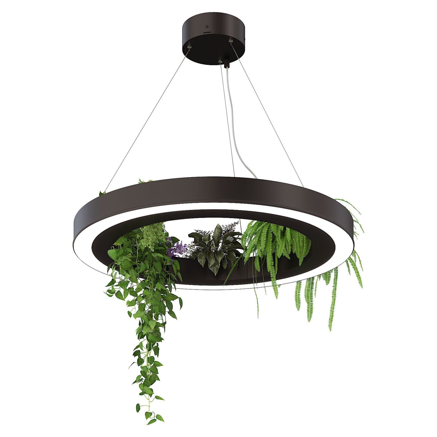 Svetholl Стэрия плант (Усиленная версия) D422 B105 H65 Мощность: 29W ISSTP2-065105-042230029