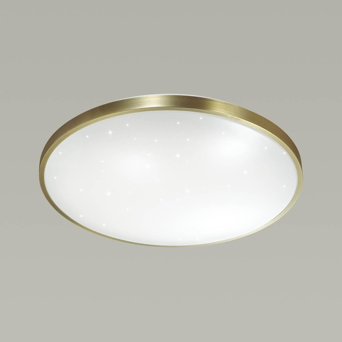 Sonex 2089/EL SN 066 св-к LOTA BRONZE пластик LED 72Вт 3000-6000K D540 IP43 пульт ДУ — миниатюра 2